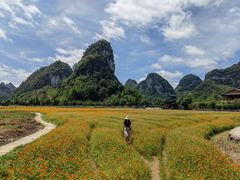 -靖西鹅泉风景区
