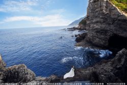 -花漾摄影优选工作室(东莞原创作品店)