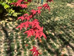 -星巴克(上海交通大学店)