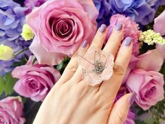 -深圳凯宾斯基酒店