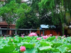 -四川大学(望江校区)