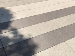 -昆明动物园