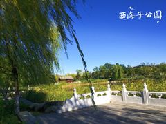 -西海子公园