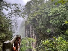 -鹿院坪生态旅游景区