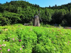-道须沟旅游风景区