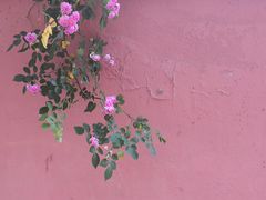 -梅间堂茶馆(绿地缤纷城店)
