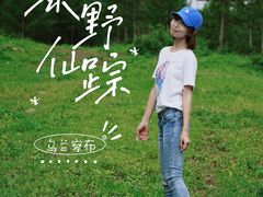 -苏木山森林公园