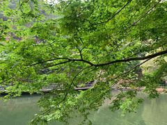 -湖洞水自然风景区