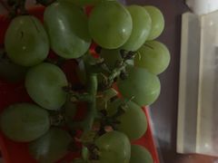 -马陆小张葡萄园农家乐