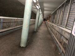 -油麻地果栏