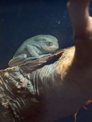 -Zoolung Zoolung动物主题公园(海信广场店)