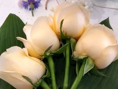 -南通大饭店(老楼)