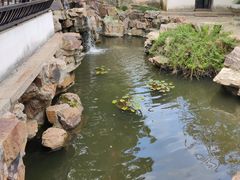 -常熟方塔园