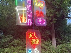 -苏州太湖国家湿地公园