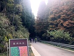 -山王坪喀斯特国家生态公园