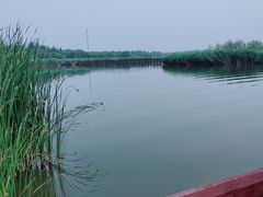 -西青郊野公园
