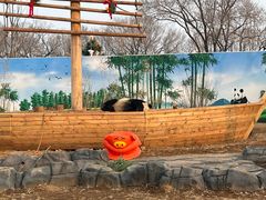 -秦皇岛野生动物园