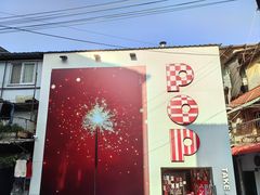 -溪岸路花鸟市场