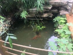 点击看大图 -莲生母婴月子中心(清水河公园店)