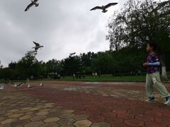 -黑石礁公园