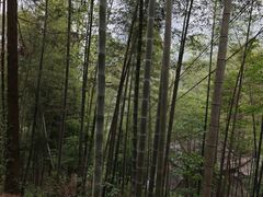 -仙霞关景区