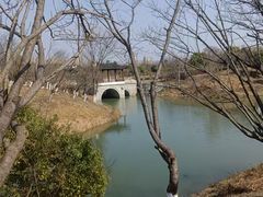 -八大山人梅湖景区