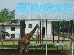 -西安秦岭野生动物园