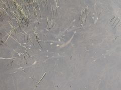 -青海湖仙女湾景区