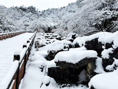 -瓦屋山景区