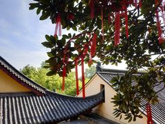 -赭山公园