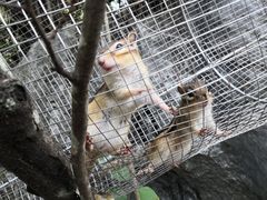-千岛湖石林
