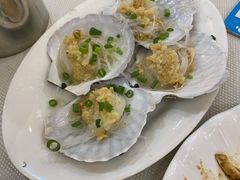 扇贝-新享乐海鲜(翠华路店)