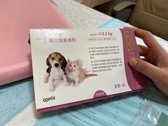 -半岛宠物医院24小时(西派城店)