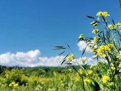 -新疆那拉提国家旅游度假区