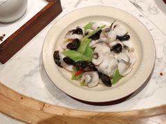 -同乐馆(阳光店)