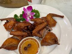 红烧脆皮乳鸽-万宝海鲜舫(劳动公园店)