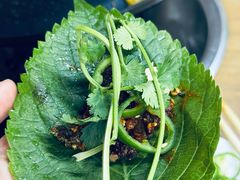 -马晓马佳牛羊肉(新合路店)