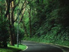 -云溪植物园