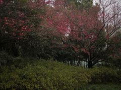 -杭州城北体育公园