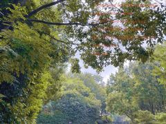 -天目湖御水温泉·度假酒店