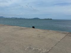 -三亚西岛海洋文化旅游区
