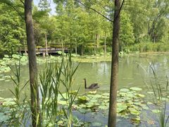 -昆山城市生态森林公园