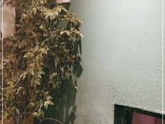 -麻喜大