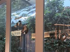 -龙猫意杯花园餐厅(芙蓉湖店)