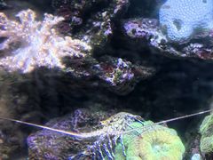 -江和美海洋公园