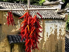 -杨家堂村