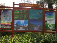 -北京鹫峰国家森林公园