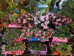 -山水茶艺馆·点心粤菜·30年老字号