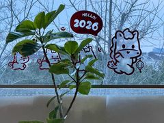 -草本汤(闵行漕宝路店)