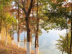 -凤岗南门山森林公园